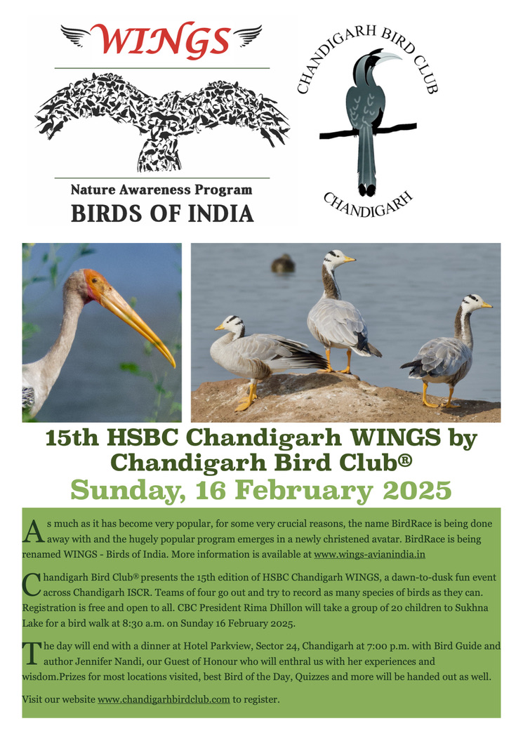 https://www.chandigarhbirdclub.com/wp-content/uploads/2025/02/C423F77A-E1CC-42F7-A145-B3931EAD9729_1_105_c.jpeg